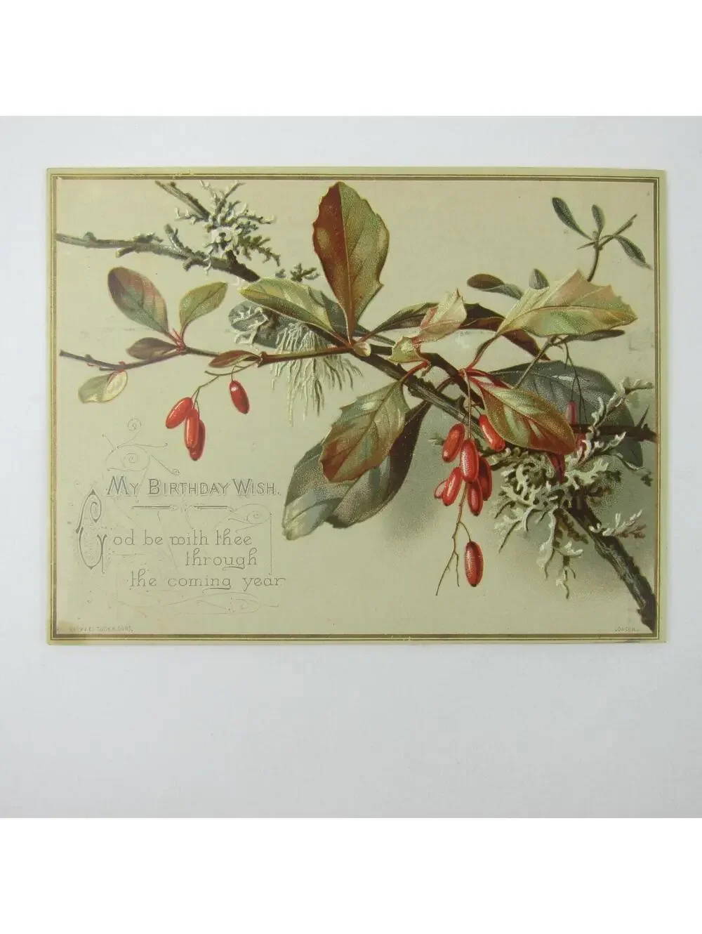 Victorian Birthday Greeting Card Red Barberry Branch Raphael Tuck & Sons Antique